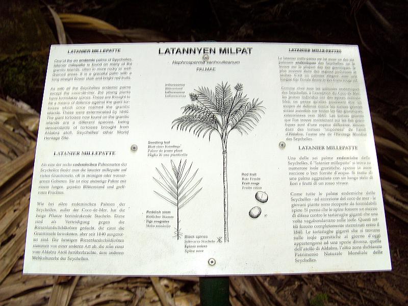 Latannyen Milpat - Vallée de Mai