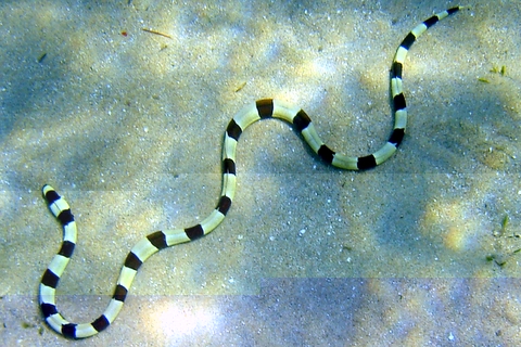 Gefahr im Verzug.JPG